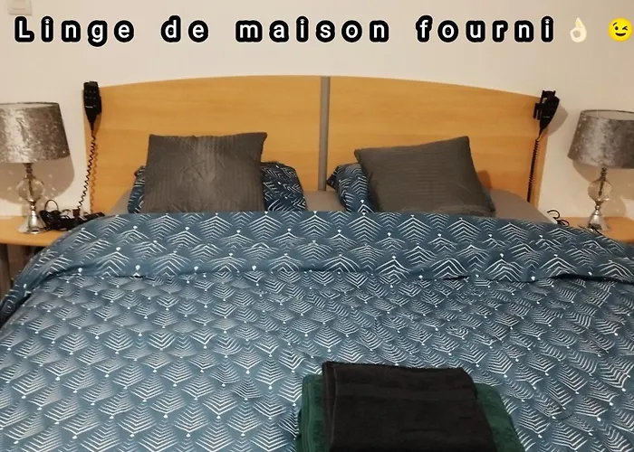 公寓 Avec Cour Plein Centre *